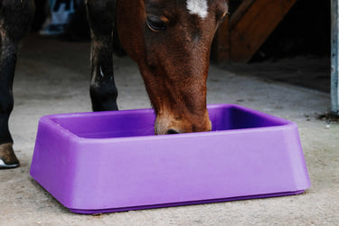 Hippotonic Anti-Gorging Feeder| Online For Equine
