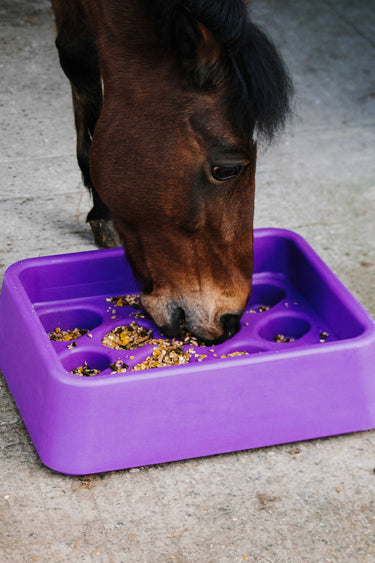 Hippotonic Anti-Gorging Feeder| Online For Equine