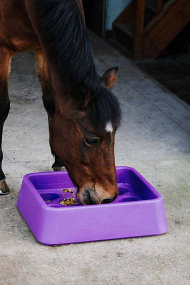 Hippotonic Anti-Gorging Feeder| Online For Equine