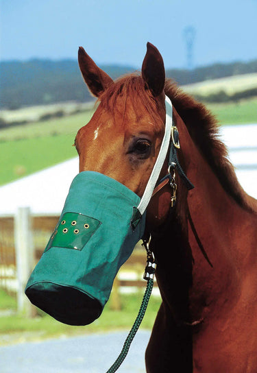 Hippotonic Canvas Feed Bag Nosenet| Online For Equine
