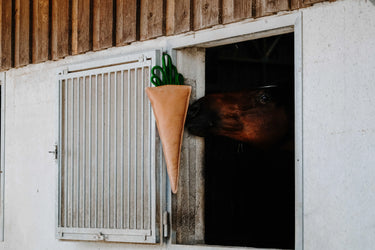 Hippotonic Carrot Stable Toy For Horses| Online For Equine