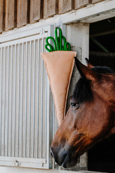 Hippotonic Carrot Stable Toy For Horses| Online For Equine