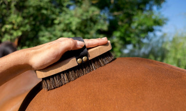 Hippotonic Extra Soft Brush| Online For Equine