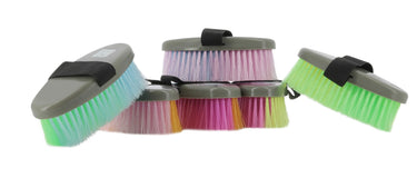 Hippotonic Multicolor Brushes| Online For Equine