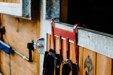 Hippotonic Portable Tack Hook| Online For Equine