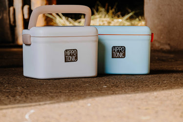 Hippotonic Scooby Grooming Box| Online For Equine