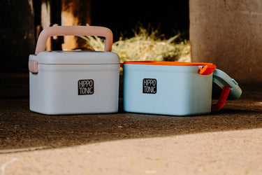 Hippotonic Scooby Grooming Box| Online For Equine