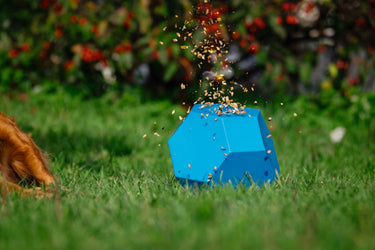 Hippotonic Slow Feeder Ball For Granules| Online For Equine