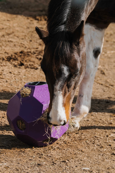 Hippotonic Slow Feeder Ball For Hay| Online For Equine