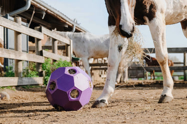 Hippotonic Slow Feeder Ball For Hay| Online For Equine
