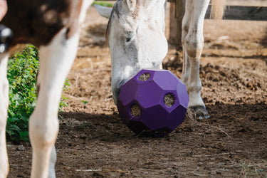 Hippotonic Slow Feeder Ball For Hay| Online For Equine