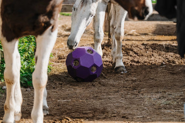 Hippotonic Slow Feeder Ball For Hay| Online For Equine
