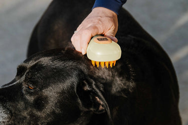 Hippotonic Vapeur Curry Comb| Online For Equine