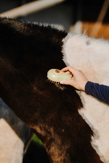 Hippotonic Vapeur Curry Comb| Online For Equine