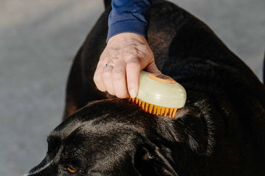 Hippotonic Vapeur Curry Comb| Online For Equine