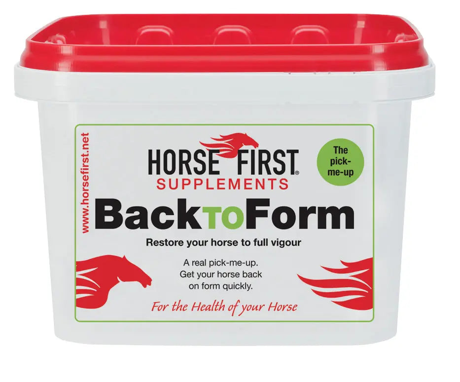 First Back View Buy Horse First Back To Form | Online for Equine – Online For Equine