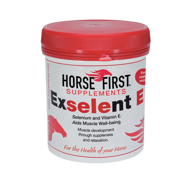 Buy Horse First Exselent E | Online for Equine