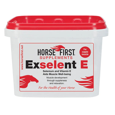 Buy Horse First Exselent E | Online for Equine