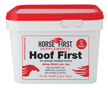 Buy Horse First Hoof First | Online for Equine