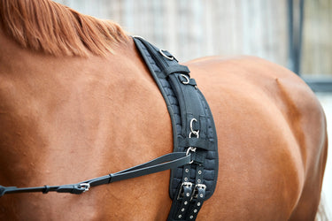 Buy Horse Guard Nylon Padded Lunging Roller With Clips | Online for Equine