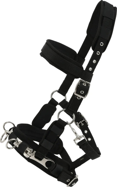 Buy Horse Guard Padded Lunge Cavesson | Online for Equine