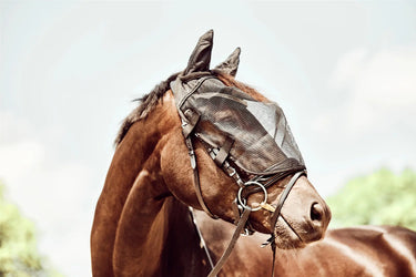 Buy Horse Guard Ride-On Fly Mask| Online for Equine