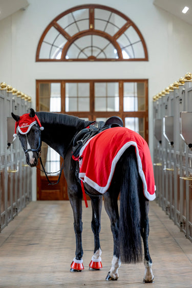 Horseguard Christmas Hind Exercise Sheet| Online For Equine