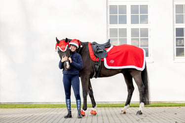 Horseguard Christmas Hind Exercise Sheet| Online For Equine