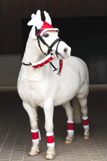 Horseguard Christmas Leg Wraps| Online For Equine