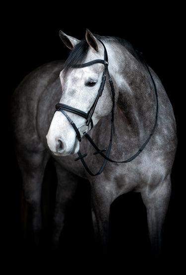 Horseguard Emi 24.2 Bridle With Combined Noseband| Online For Equine