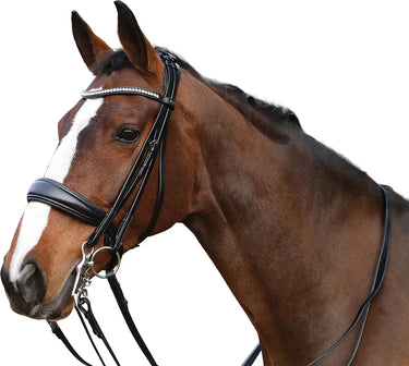 Horseguard Ergo Double Bridle With Reins| Online For Equine