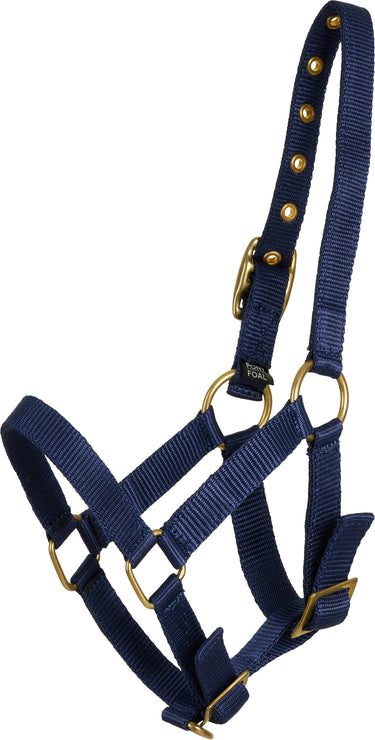 Horseguard Foal Halter| Online For Equine