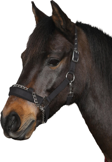 Horseguard Halter With Chain| Online For Equine