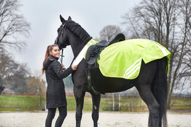 Horseguard Jamie Reflective Exercise Sheet| Online For Equine