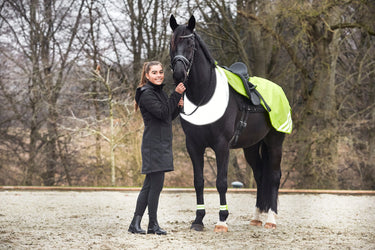 Horseguard Jamie Reflective Exercise Sheet| Online For Equine