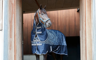 Horseguard Jewel Halter| Online For Equine