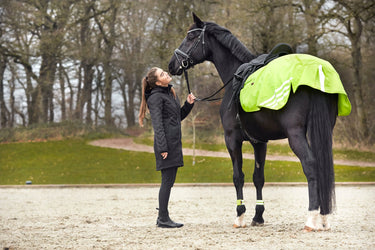 Horseguard Judy Reflective Hind Excercise Sheet| Online For Equine