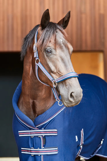 Horseguard Kaloa Halter| Online For Equine