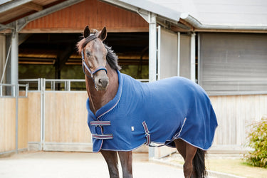 Horseguard Kaloa Halter| Online For Equine