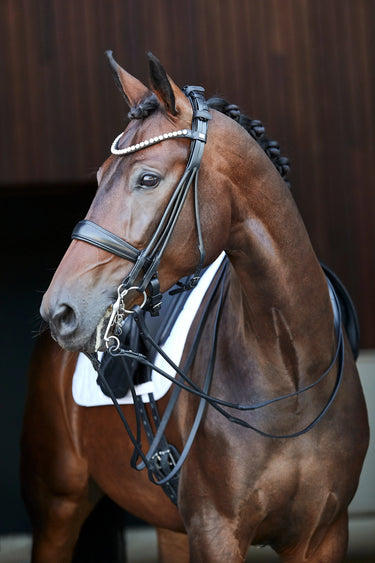 Horseguard Kava Rolled Double Bridle With Reins| Online For Equine