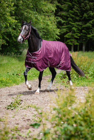 Horseguard Landon 1200D Rug Standard Neck 0G| Online For Equine