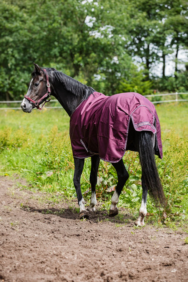 Horseguard Landon 1200D Rug Standard Neck 0G| Online For Equine