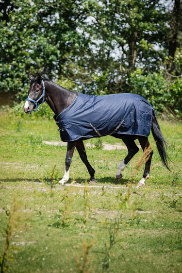 Horseguard Landon 1200D Turnout Rug Standard Neck 100G| Online For Equine