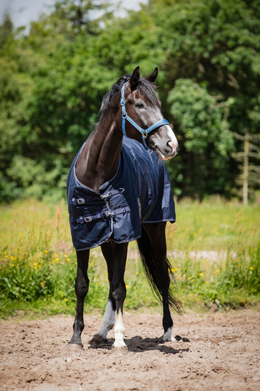 Horseguard Landon 1200D Turnout Rug Standard Neck 100G| Online For Equine