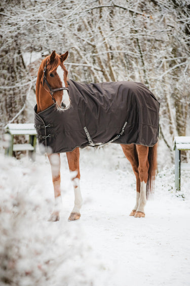 Horseguard Landon 1200D Turnout Rug Standard Neck 200G| Online For Equine