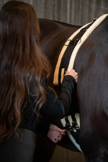 Horseguard Longing Girth With Teddy| Online For Equine