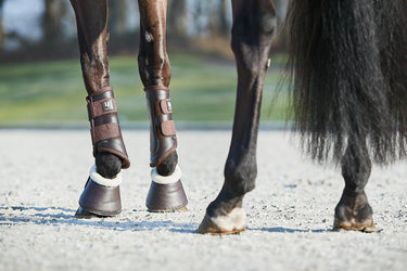 Horseguard Lux Dressage Boots| Online For Equine