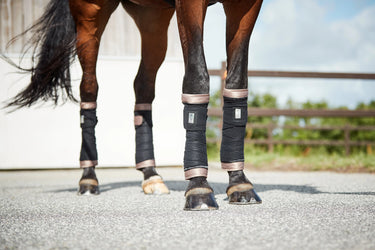 Horseguard Mari Short Sleeveda Bandage Pad| Online For Equine