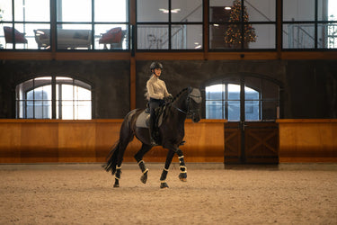 Horseguard Milva Hood| Online For Equine