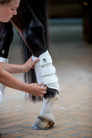 Horseguard Timothy Mesh Dressage Boots| Online For Equine